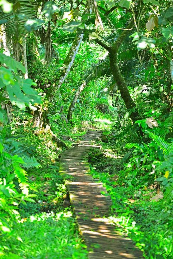 Primate Lodge Kibale 坎帕拉 外观 照片
